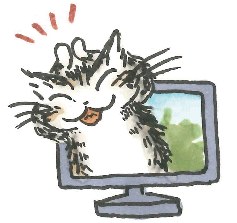 株式会社わちふぃーるど tweet media