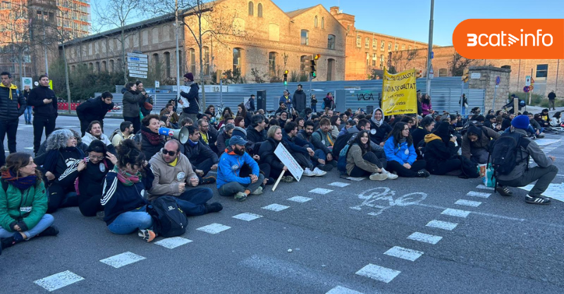 3CatInfo tweet media