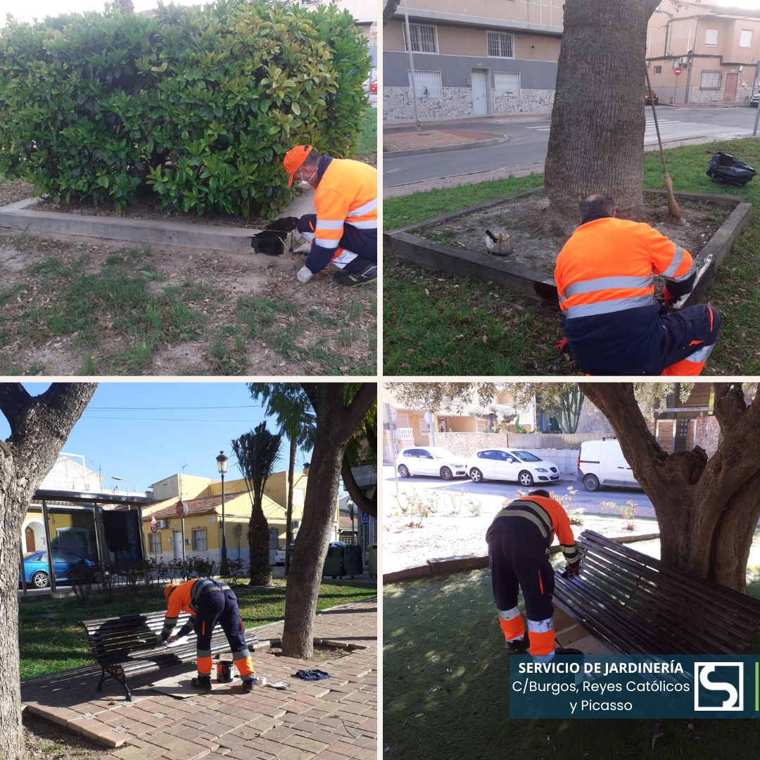 🛠️Trabajos de repintado de parterres y bancos realizados por nuestro equipo de jardinería. 🖌️👨‍🌾

✅¡Seguimos!🌿🌳
#TrabajosDeMantenimiento #ParquesYJardines #MolinaDeSegura