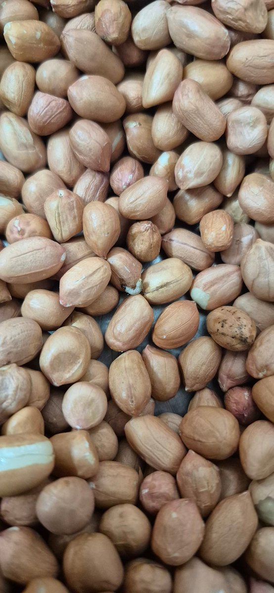 Ashutosh Sharma tweet media