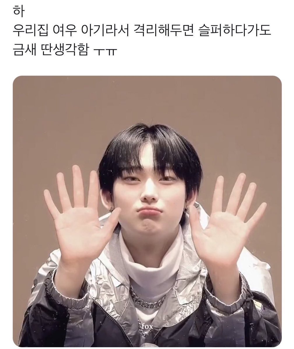 찹도나 tweet media
