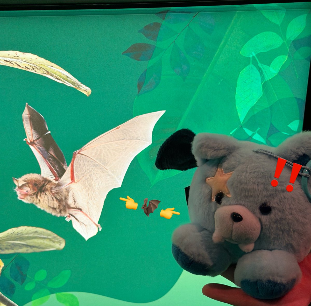 xSarahxx tweet media