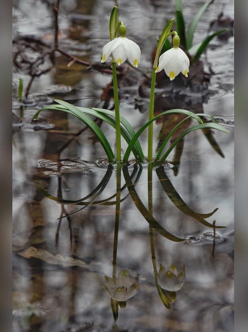 Jutta Streicher 🕊️ tweet media