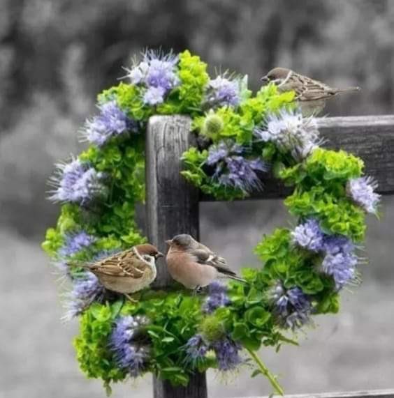 MarianVoesenek 🌟🌟🌟 tweet media