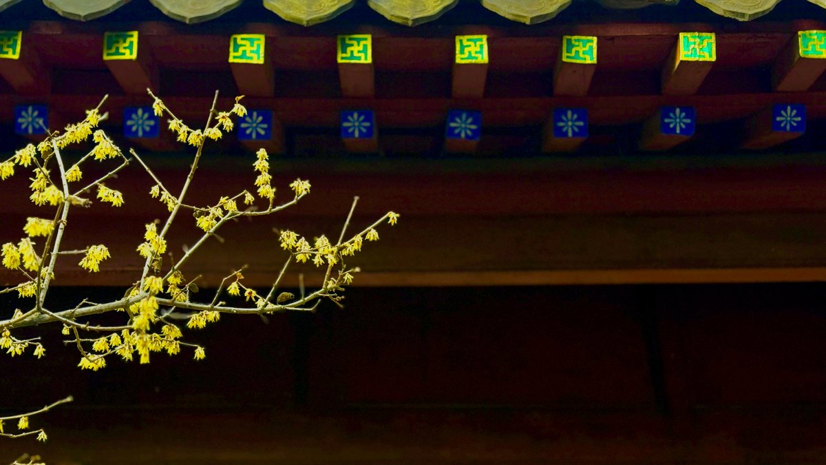 Taian of China tweet media