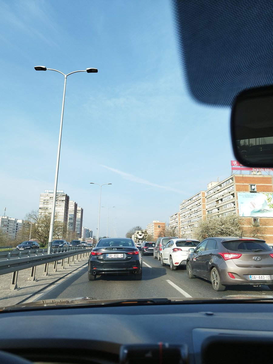 The Ljilja 🐦🐦🐦🐦🐦🐦🐦🐦 tweet media