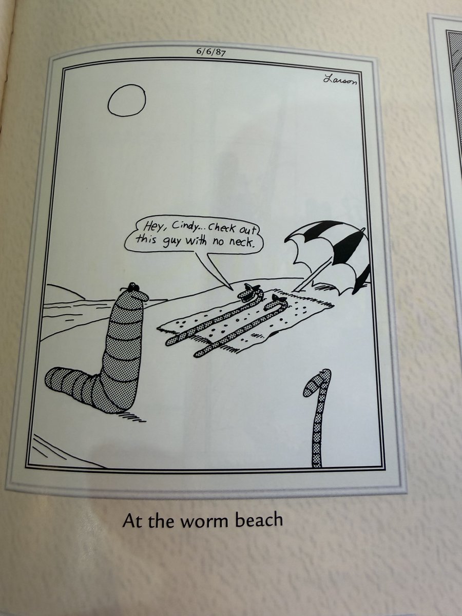 Gillian Flavell tweet media