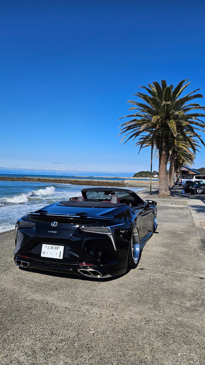 祐介(ｴﾙｴｽﾜﾝ) tweet media