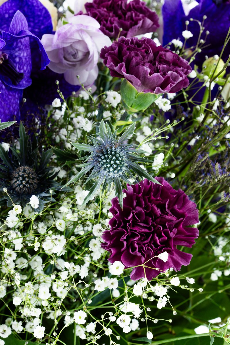 Joji Shimamoto tweet media