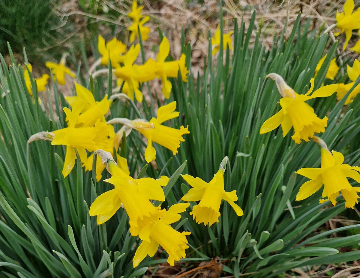 Buongiorno e buona settimana!