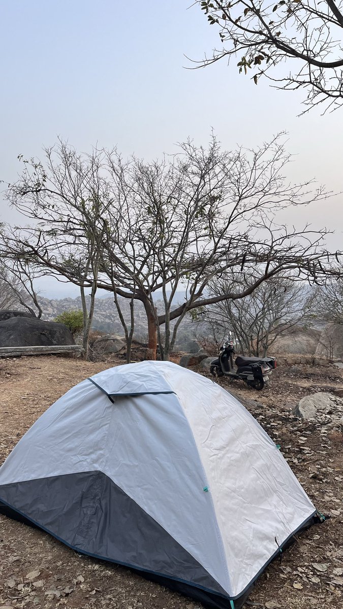 CEO Sahab tweet media