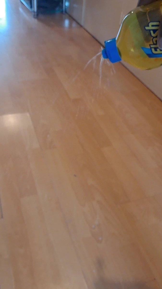CHASEJLONDON's tweet photo. Cleaning just got easier 🧼✨

I’ve been trying out Flash Direct to Floor Cleaner, and it’s perfect for quick everyday cleans.

 https://t.co/bJDF2MIpc7

#ad #EasyPeasyLemonSqueezy #FlashDirectToFloor #FastCleanFastDry #BackToCleanInAFlash #savvycircle #supersavvyme https://t.co/UXwPUa0qYh