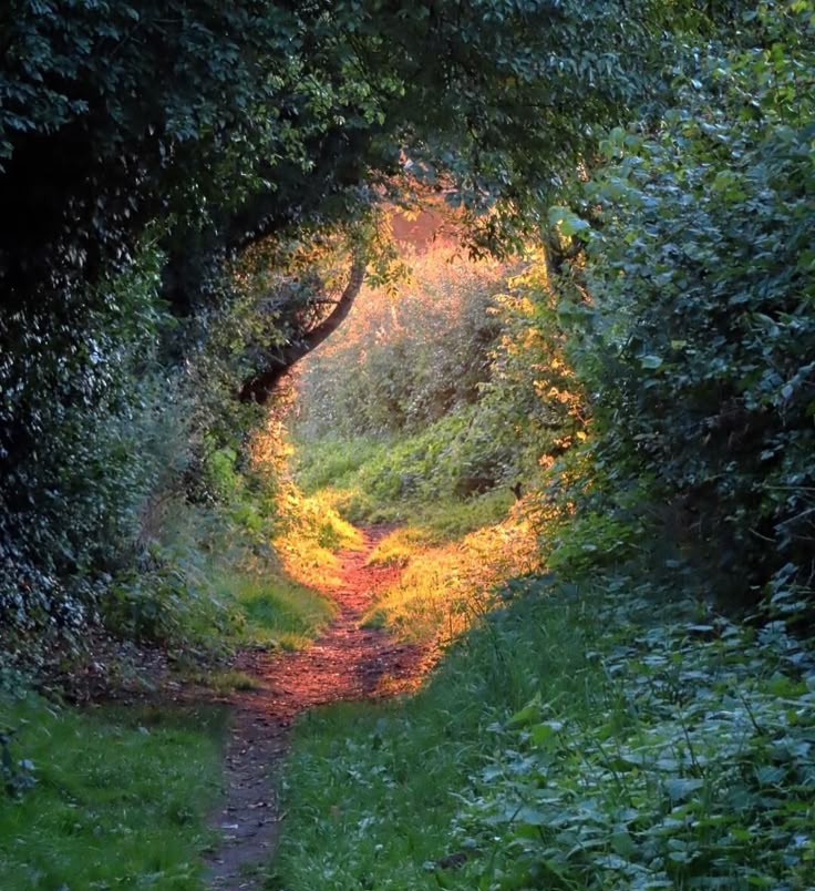 𝒍𝒖𝒏𝒂 tweet media