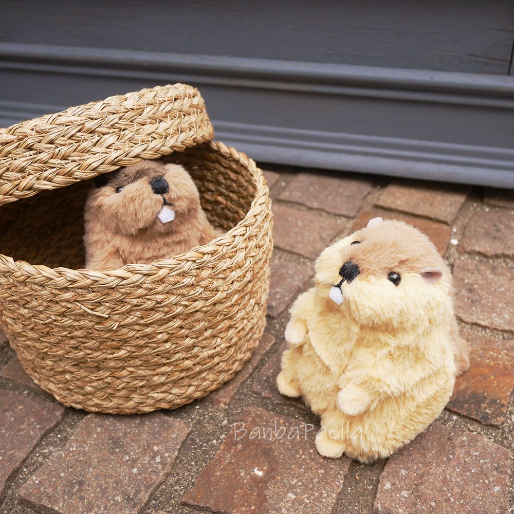 ばんばぱえりあ@新著『ことりのぬいぐるみ』 tweet media