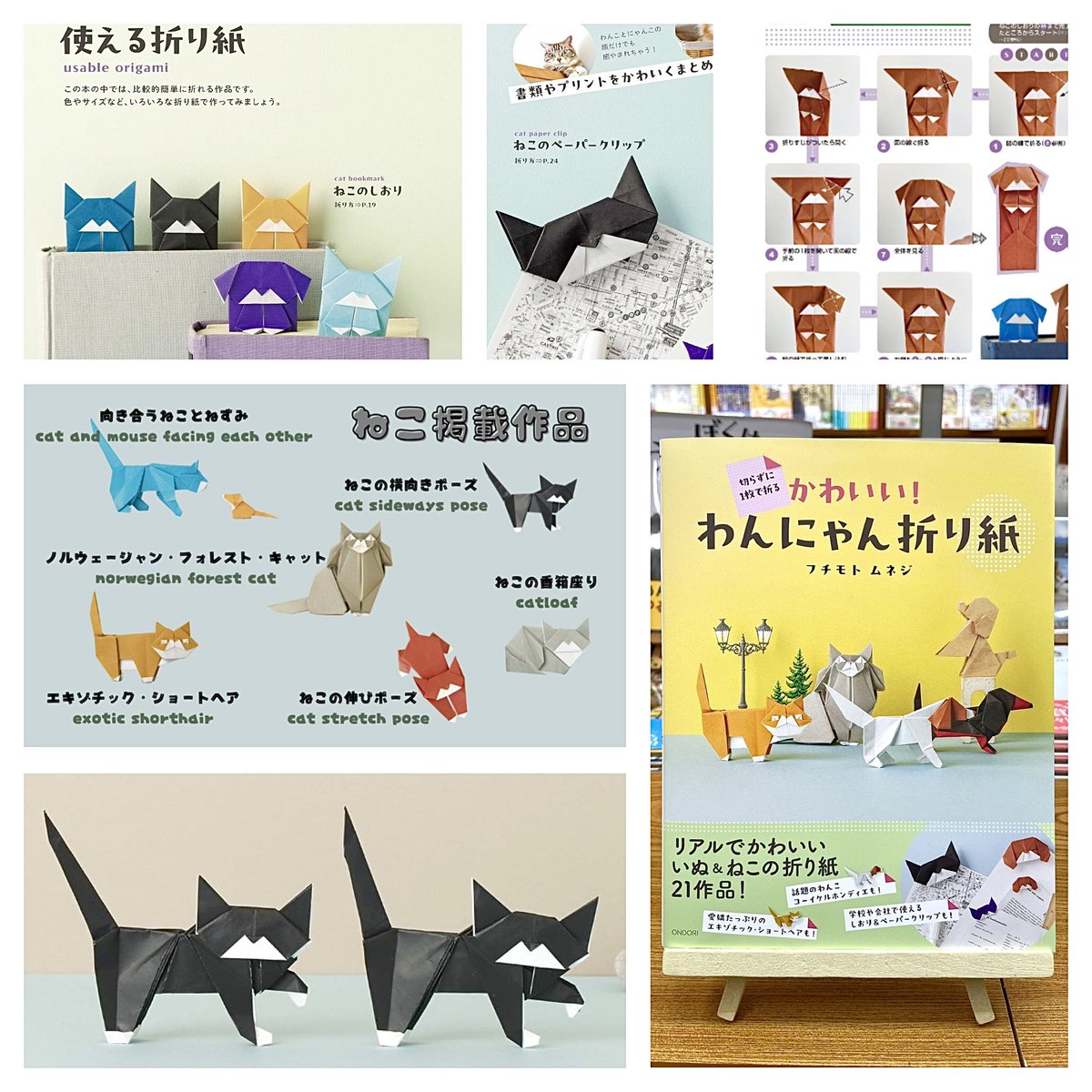 猫本専門 神保町にゃんこ堂_姉川書店 tweet media