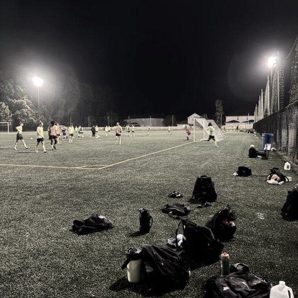 alai lvs sele LN1 tweet media