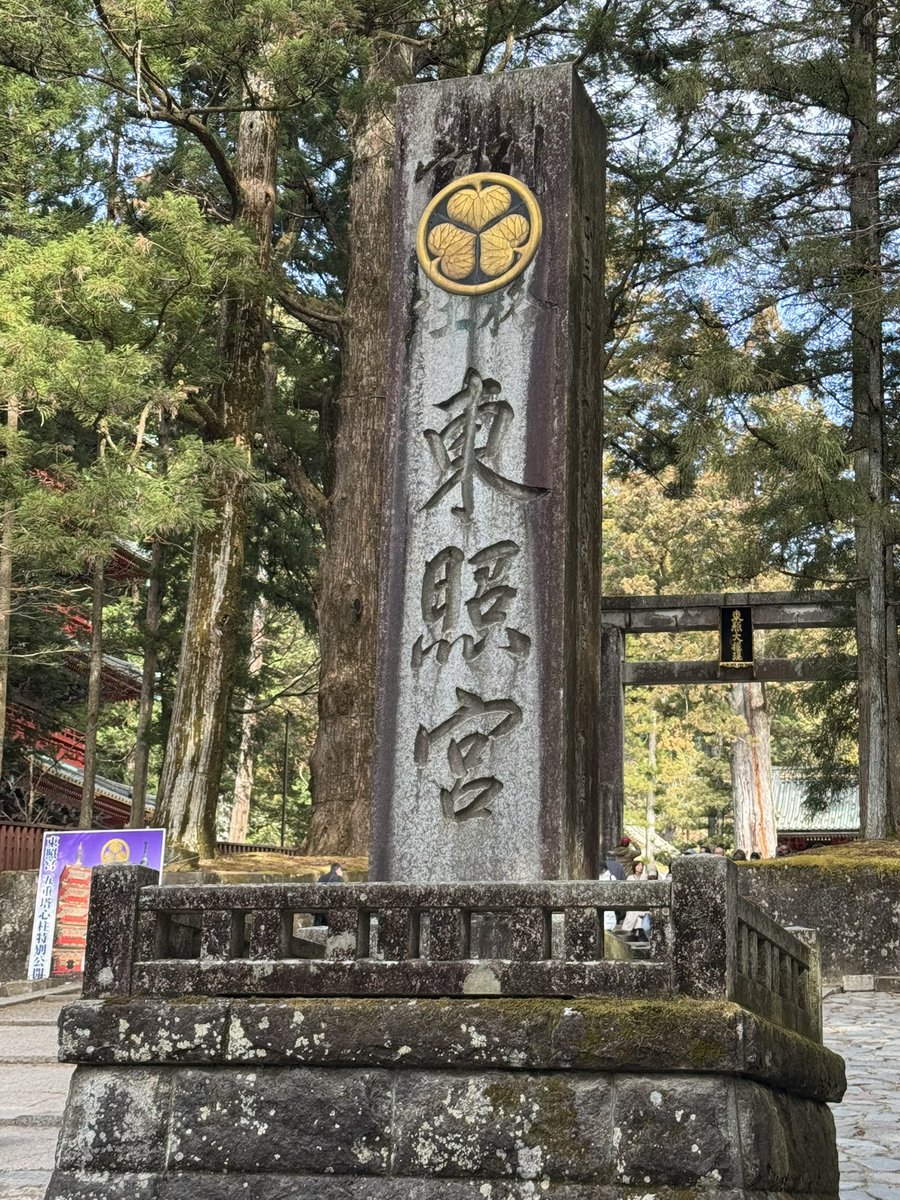 りこ@17歳310ヵ月 tweet media