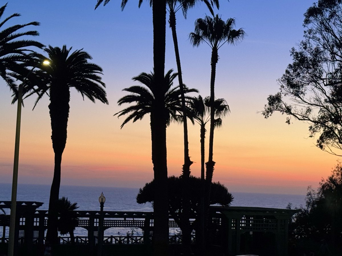 Tom Hall ☘️ tweet media