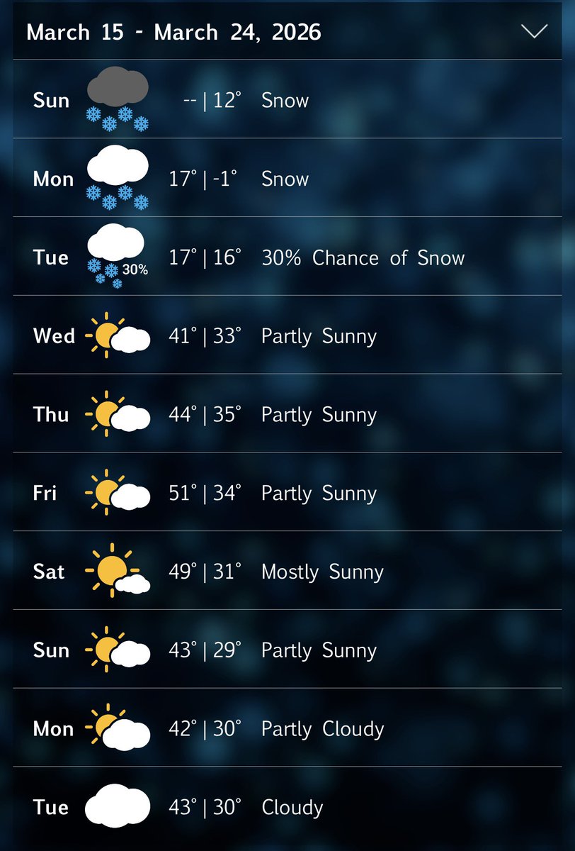 Hunter Carsten tweet media