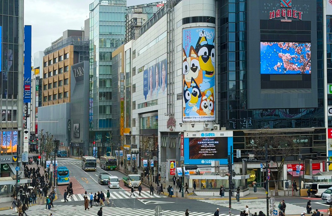 『ブルーイ』公式 tweet media