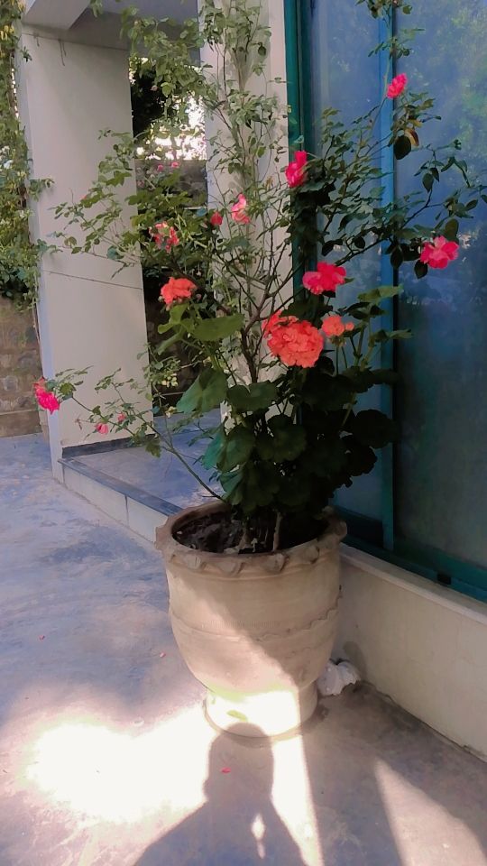 THIS....

That the Eid holidays 2026 are l to

Pack your bags
Board the bus
Get away from the world 

Go where? With Petrol so expensive ? 

Shireen Kunj Abbottabad...where you forget petrol prices because it is a walkers paradise .

Special Eid booking rates call
0333 4275400