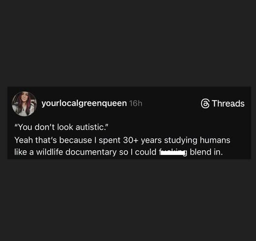 No Nonsense Neurodivergent tweet media