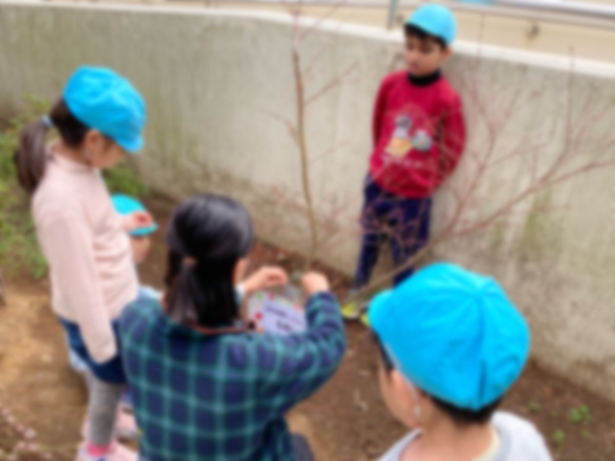 honmurakg's tweet photo. 3月16日  〈本村幼稚園シンボルツリー
プレート付け〉
本村小学校・代表委員の皆さんが、  
幼稚園を忘れないようにと植樹してくれたカエデ🍁の木に、園児が作ったプレートを取り付けました。 https://t.co/JHTNGep5wY