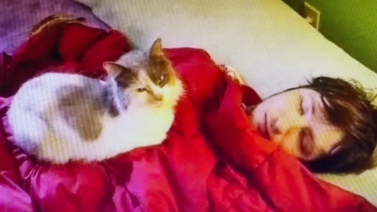 マーク　アンドレエ tweet media