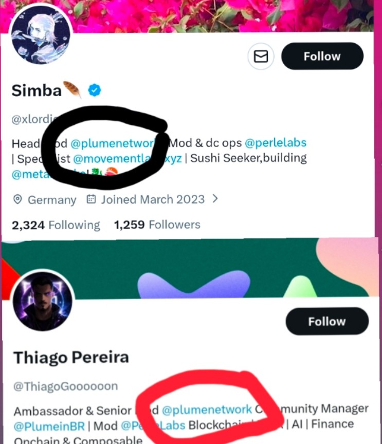 DarkAudit tweet media