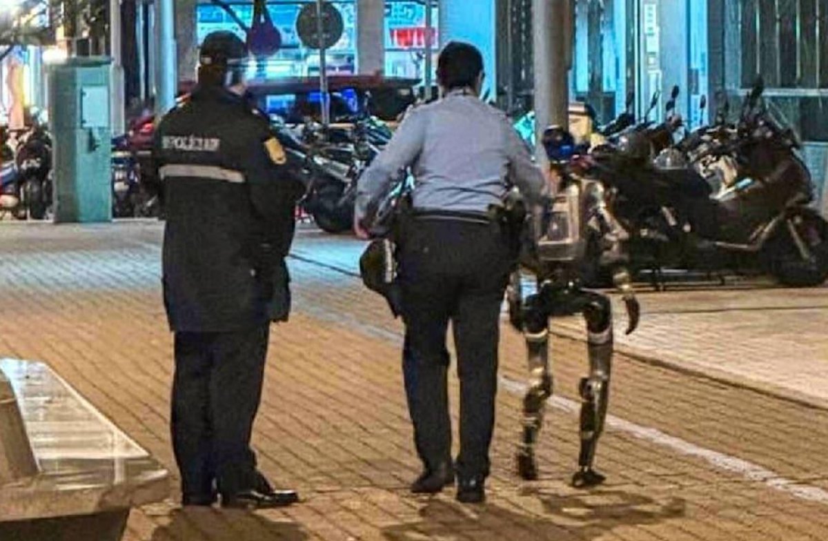 Panda of Asia Street⚡️ tweet media