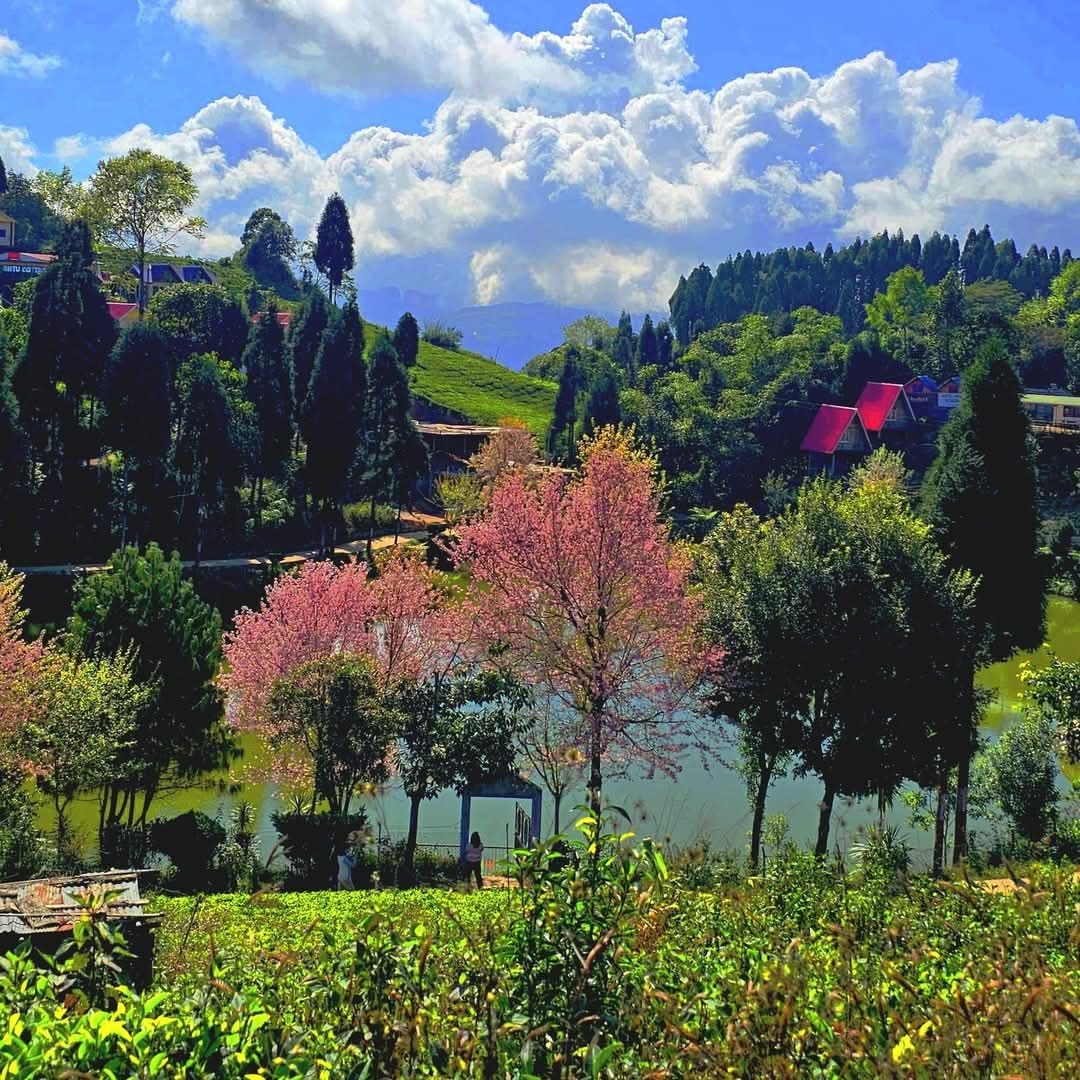 Saurav Dhakal tweet media