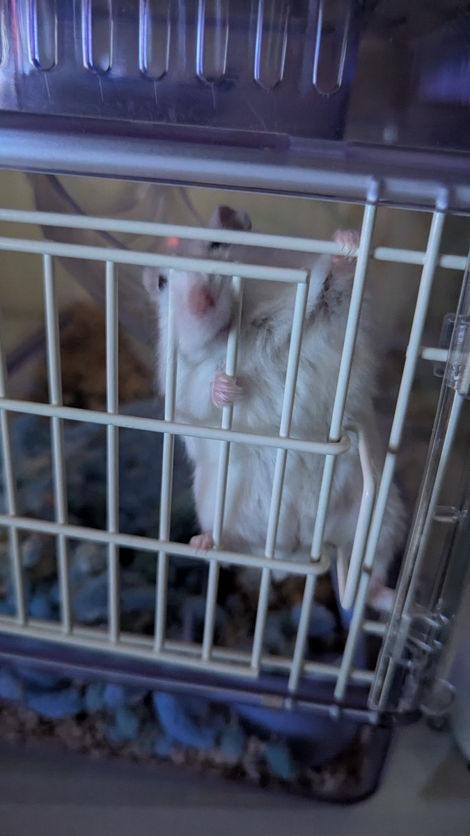 よう8024 tweet media