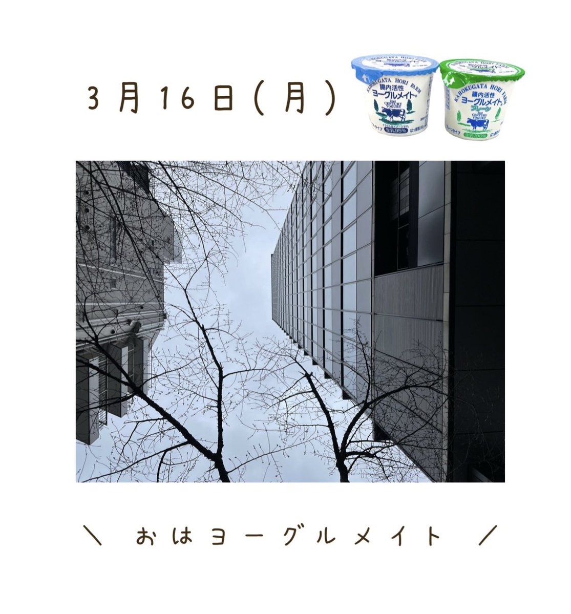 ㈱ニューミクロス 公式【腸内活性ヨーグルメイト】 tweet media