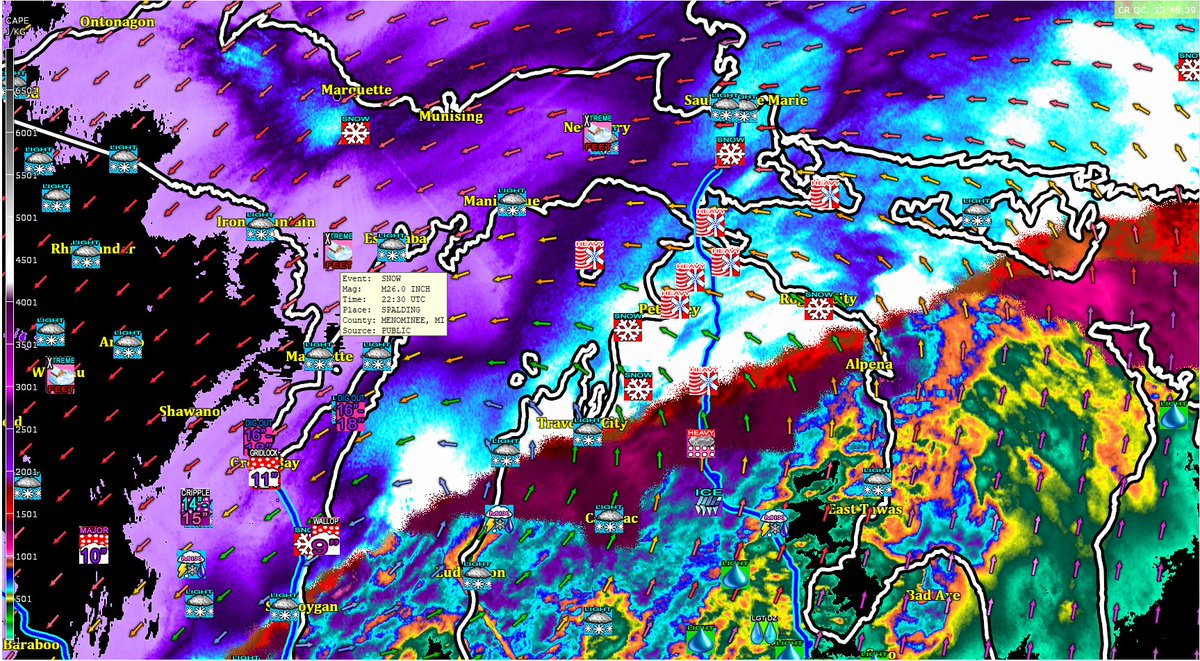 William Scherer tweet media