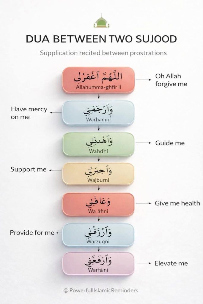 Haleema Abubakar🌹 tweet media