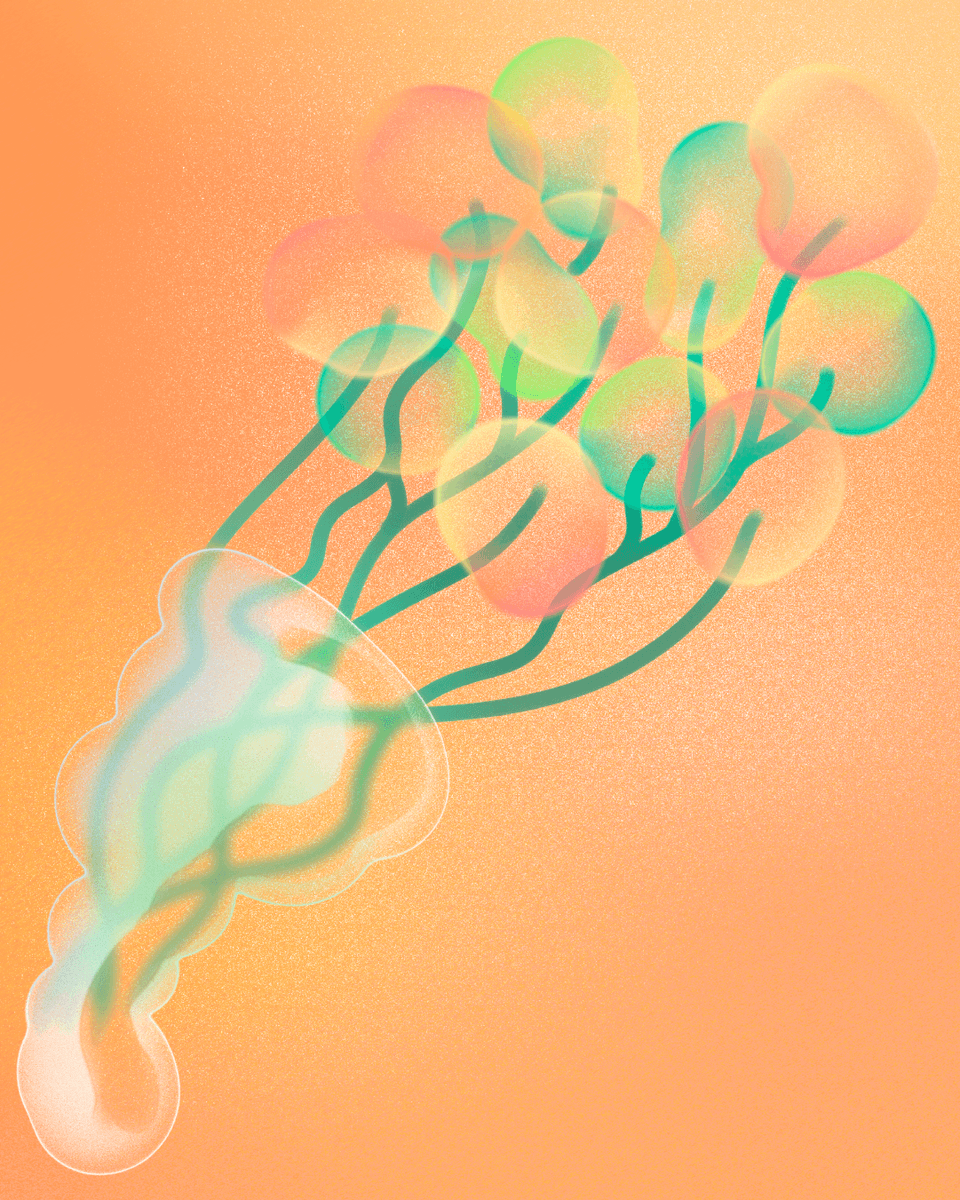 奈良醸造 | NBCo. tweet media