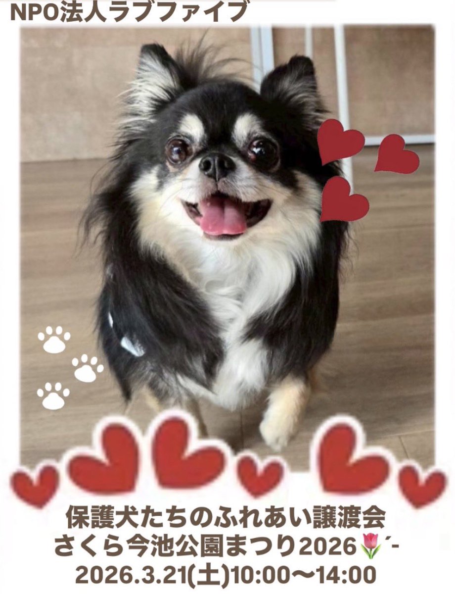 Pet_lovefive's tweet photo. 🌱お知らせ🌱
【さくら今池公園まつり2026】にて当団体も #保護犬 たちのふれあい #譲渡会 で参加させていただきます🍎
日時:R8.3.21（土）10時〜14時
場所:さくら今池公園(堺市北区新堀町1丁85-1)
約5頭が参加予定🐕✨
※雨天中止、現地での譲渡は出来ません🙇‍♀️
ぜひ、みんなに会いにお越しください🥰 https://t.co/Tmw8kNA9qK