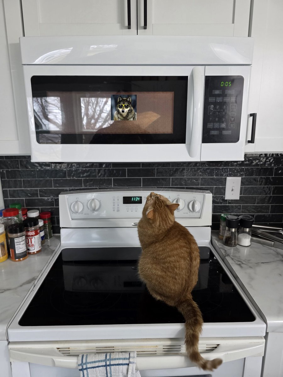 0x0F1EABA6 tweet media