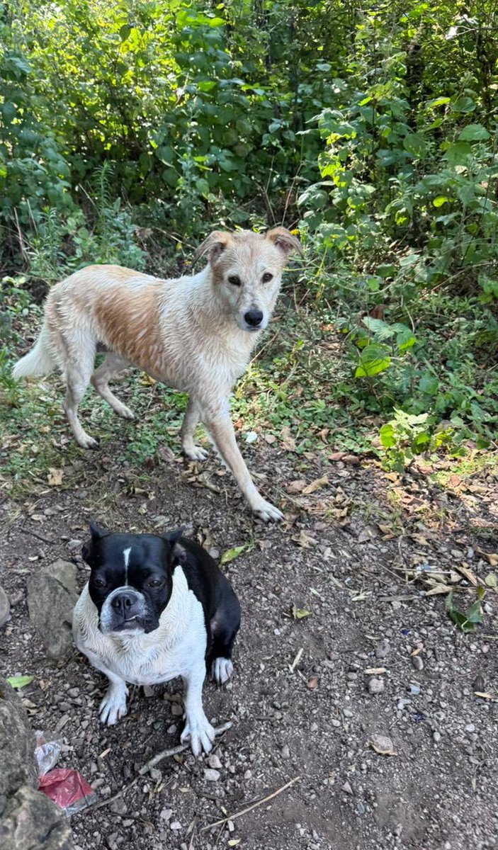 Heriberto Paredes ★ tweet media