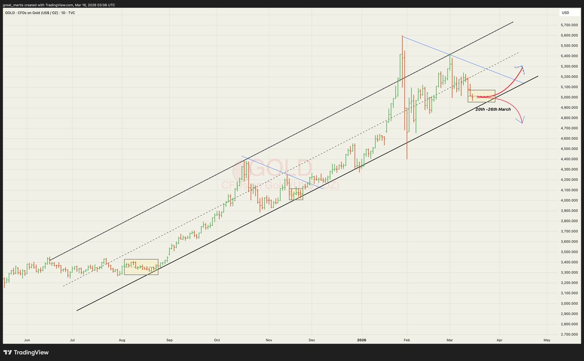 The Great Martis tweet media