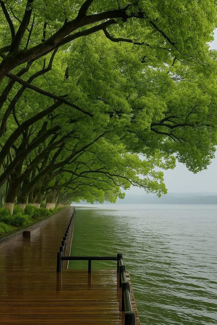 walking here.. therapy..