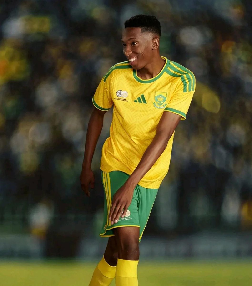 南アフリカ観光局 tweet media