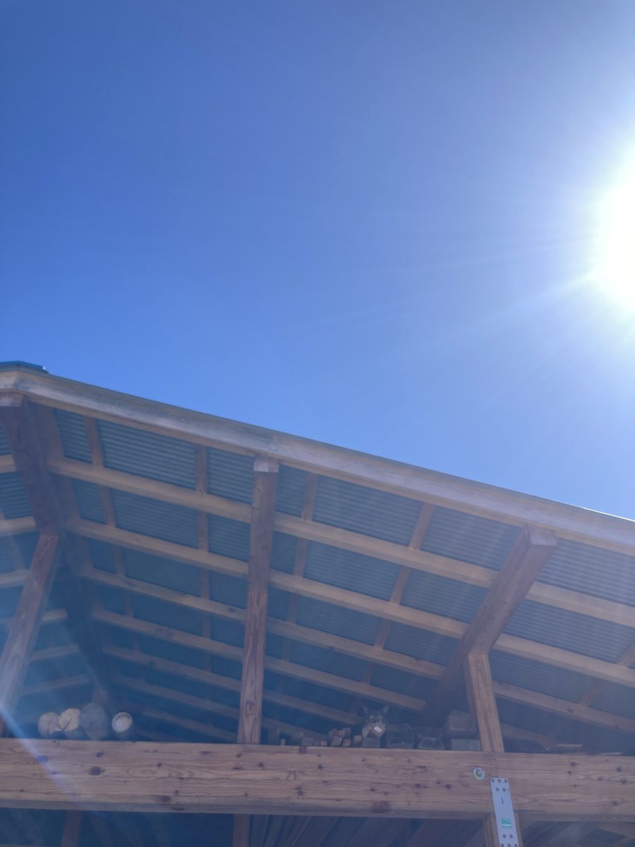 遠野市立博物館 tweet media