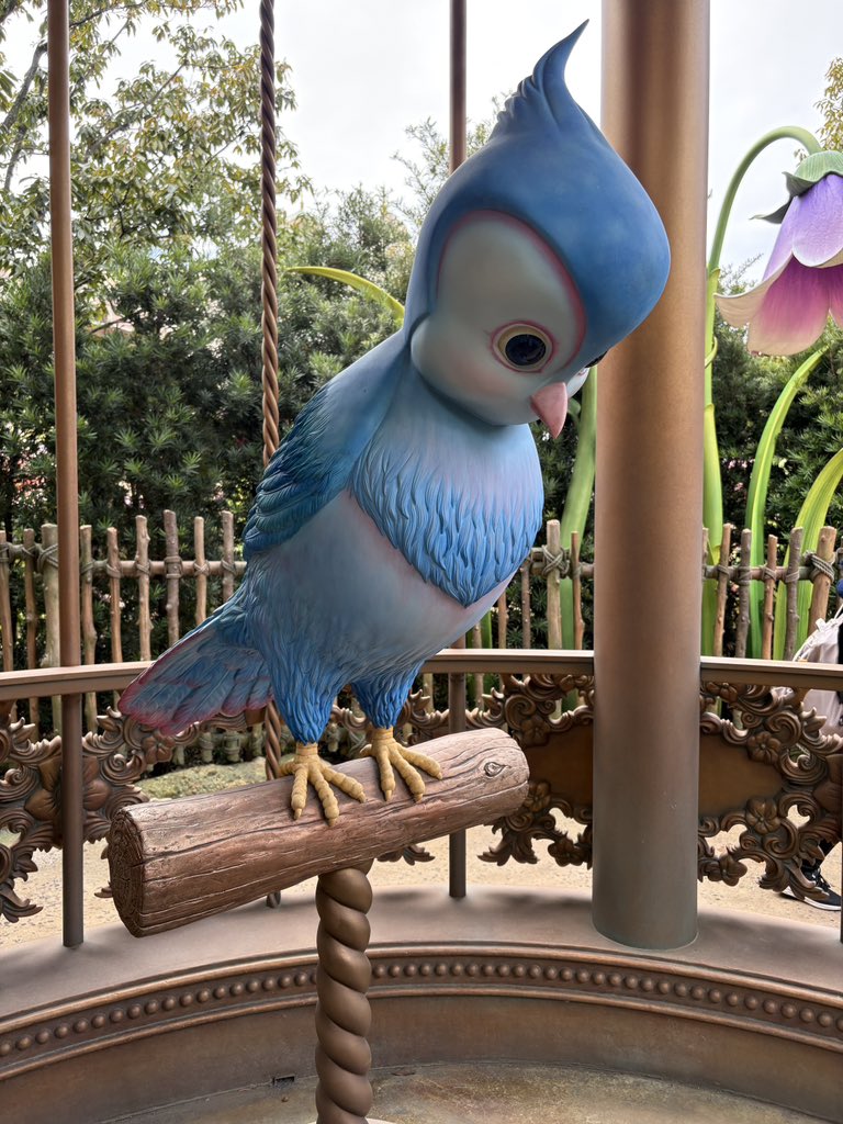 K tweet media