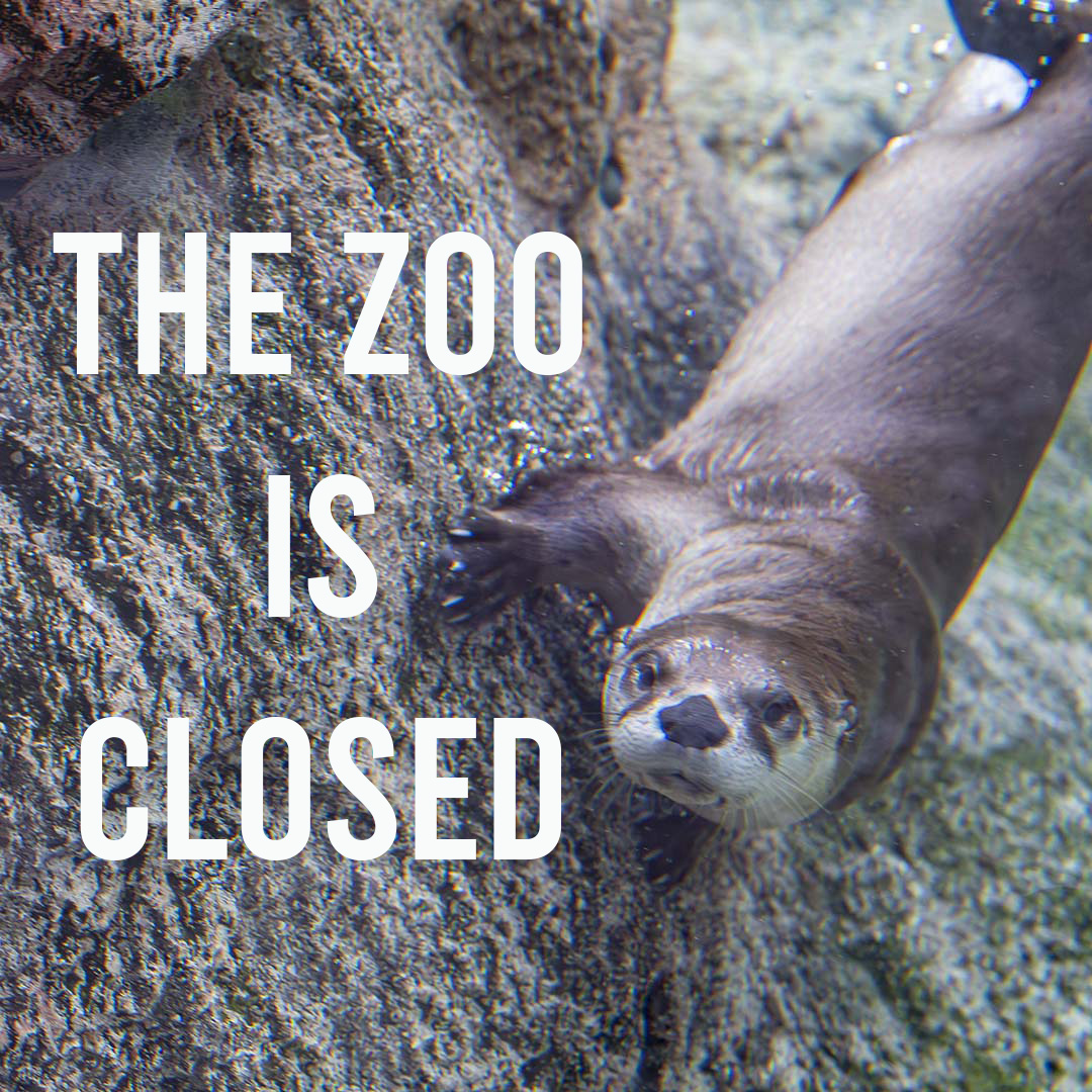 Milwaukee County Zoo tweet media