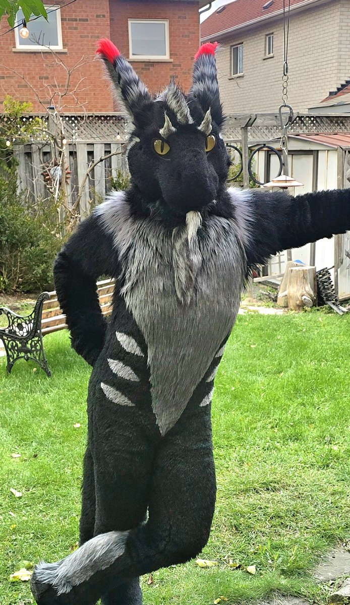 dergalderp tweet media