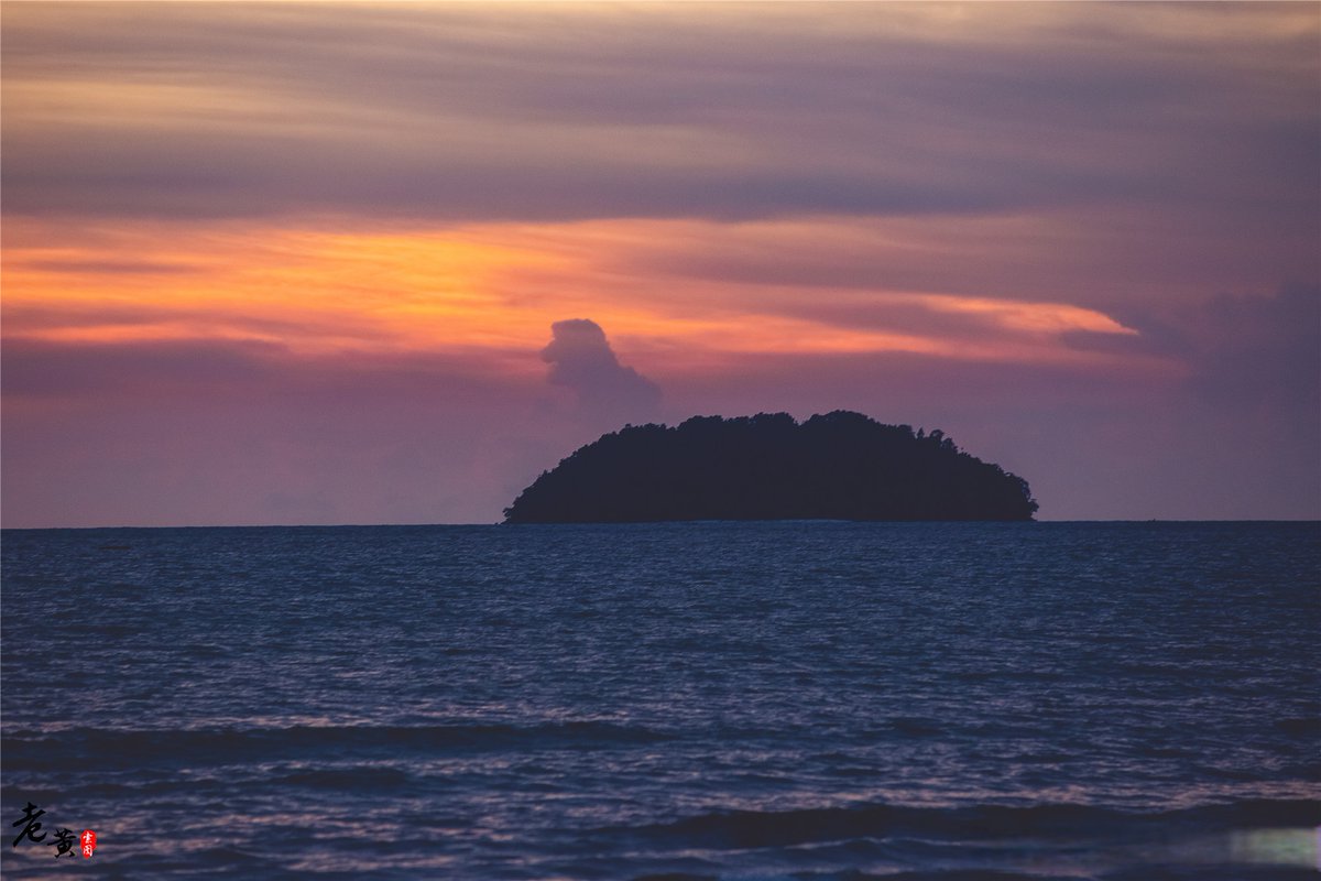 Zuccaro Web Design tweet media