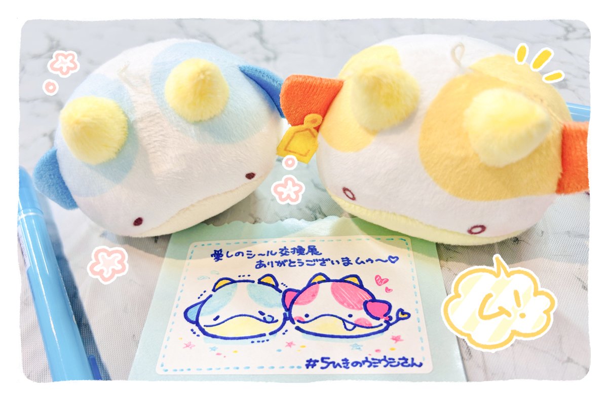 ウミウシさん🍼【公式】 tweet media