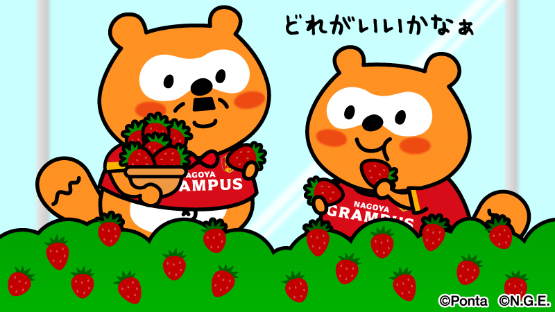 グランパスポンタ tweet media