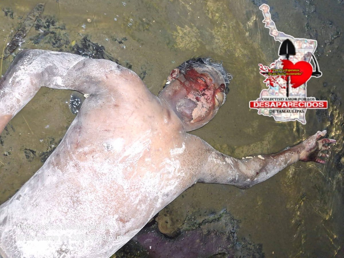 VALOR POR TAMAULIPAS tweet media